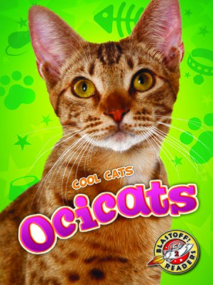cover image of Ocicats